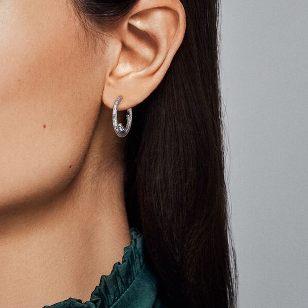 Aretes Pendientes Pandora con Diseño de Aro de Pájaro de Primavera 297072 Plata 925